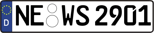 NE-WS2901