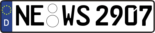 NE-WS2907