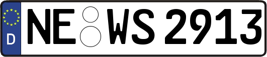 NE-WS2913