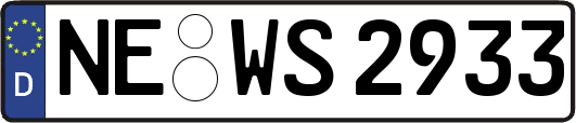 NE-WS2933