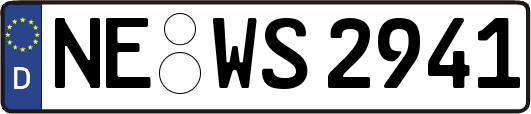 NE-WS2941
