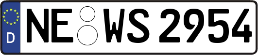 NE-WS2954