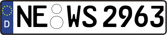 NE-WS2963