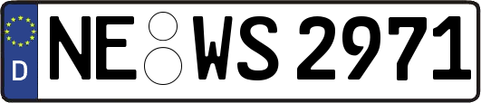 NE-WS2971