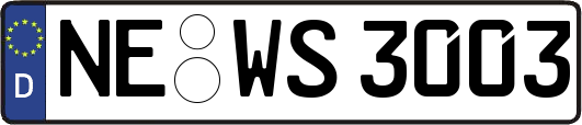 NE-WS3003