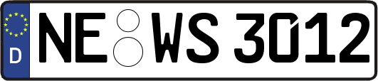 NE-WS3012