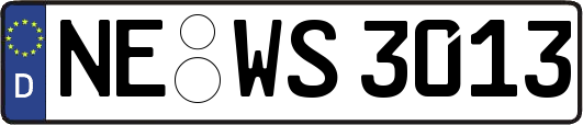 NE-WS3013