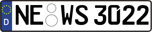 NE-WS3022
