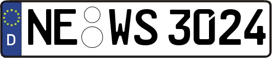 NE-WS3024