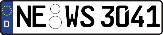 NE-WS3041