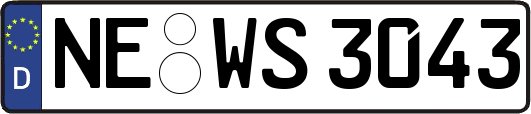 NE-WS3043