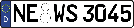 NE-WS3045