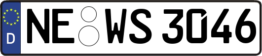 NE-WS3046