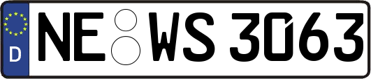 NE-WS3063