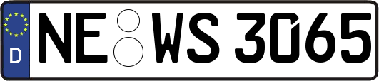 NE-WS3065
