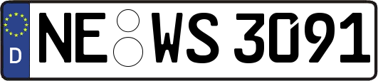 NE-WS3091