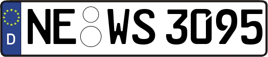 NE-WS3095