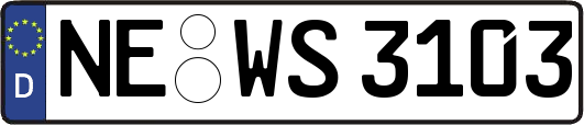 NE-WS3103