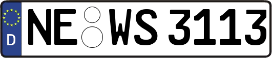 NE-WS3113