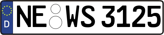 NE-WS3125