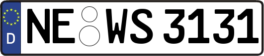 NE-WS3131
