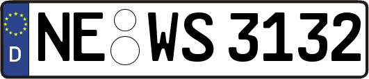 NE-WS3132
