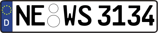 NE-WS3134