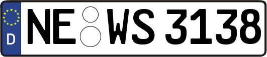 NE-WS3138