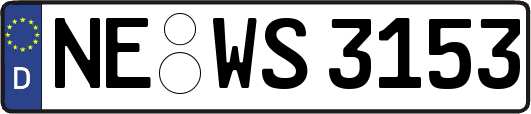 NE-WS3153