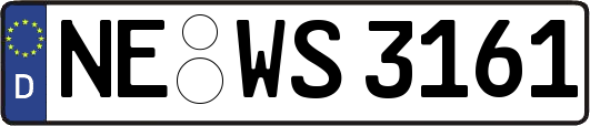 NE-WS3161