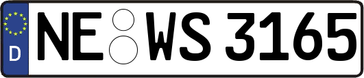 NE-WS3165
