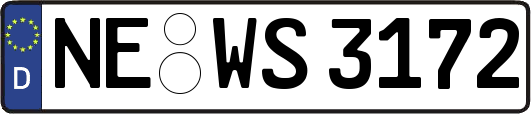 NE-WS3172