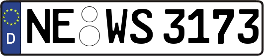 NE-WS3173