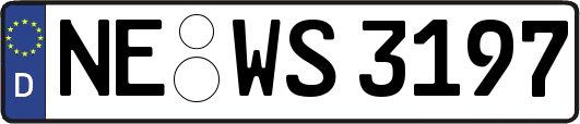 NE-WS3197
