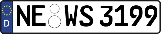 NE-WS3199