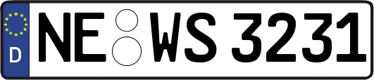NE-WS3231