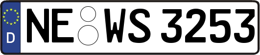 NE-WS3253