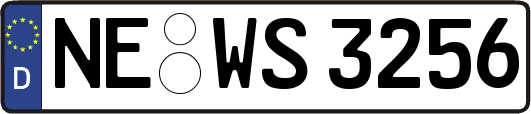 NE-WS3256