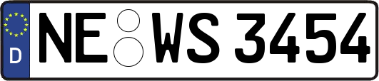 NE-WS3454