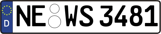 NE-WS3481