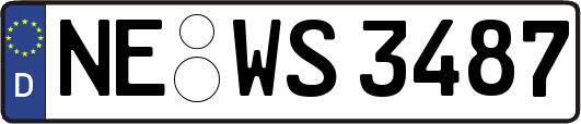 NE-WS3487