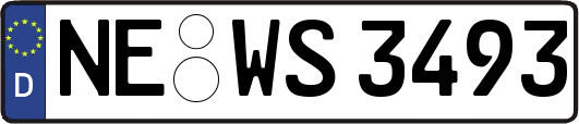NE-WS3493