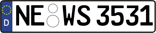 NE-WS3531