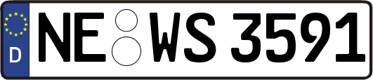 NE-WS3591