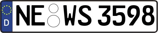 NE-WS3598
