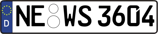 NE-WS3604