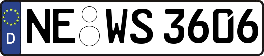 NE-WS3606