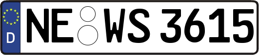 NE-WS3615