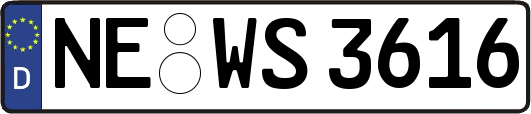 NE-WS3616