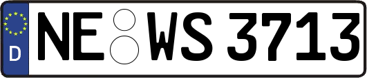 NE-WS3713